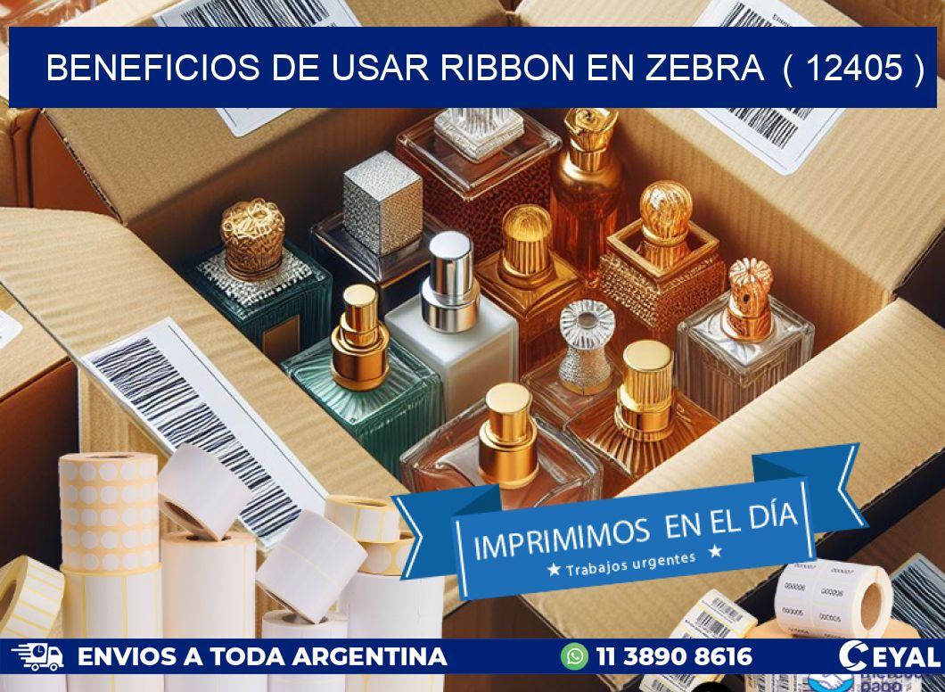 BENEFICIOS DE USAR RIBBON EN ZEBRA  ( 12405 )