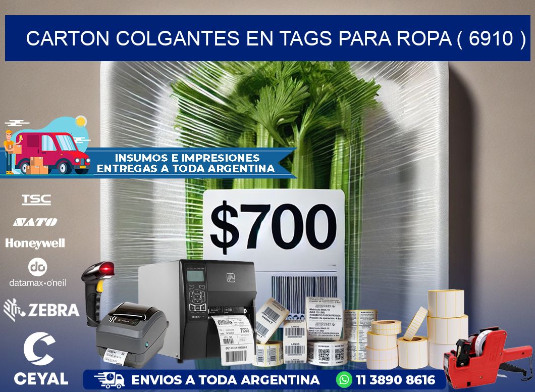 CARTON COLGANTES EN TAGS PARA ROPA ( 6910 )