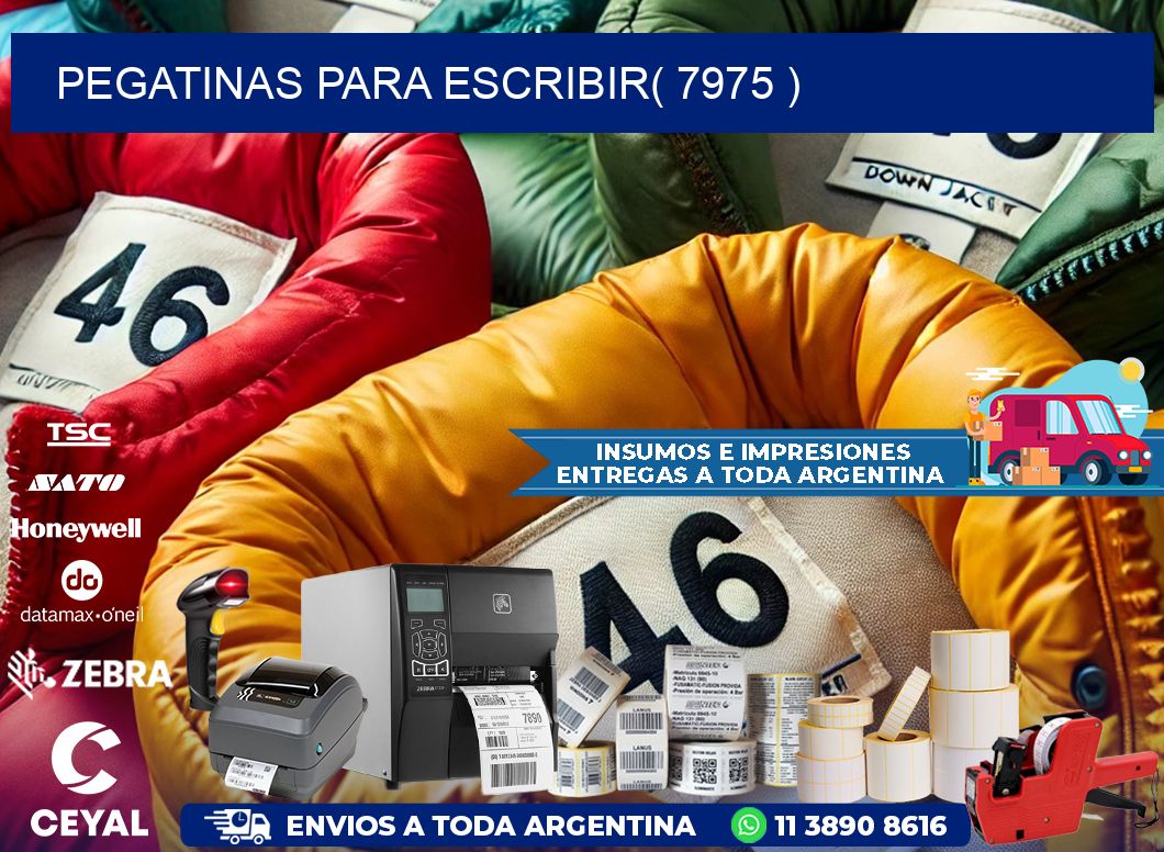 PEGATINAS PARA ESCRIBIR( 7975 )