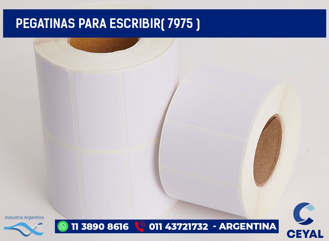 PEGATINAS PARA ESCRIBIR( 7975 )