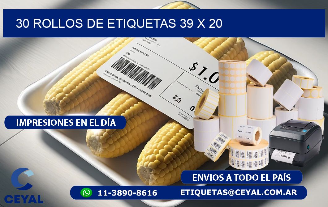 30 ROLLOS DE ETIQUETAS 39 x 20