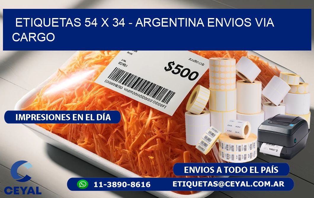 ETIQUETAS 54 x 34 - ARGENTINA ENVIOS VIA CARGO