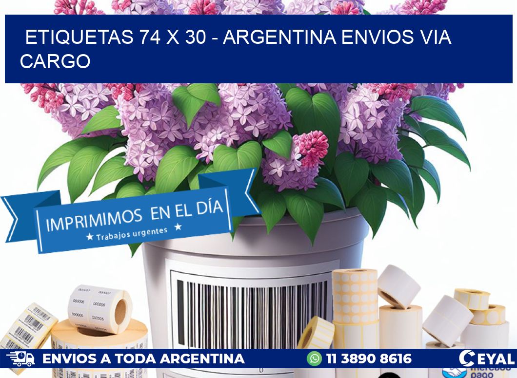 ETIQUETAS 74 x 30 - ARGENTINA ENVIOS VIA CARGO