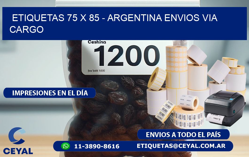 ETIQUETAS 75 x 85 - ARGENTINA ENVIOS VIA CARGO