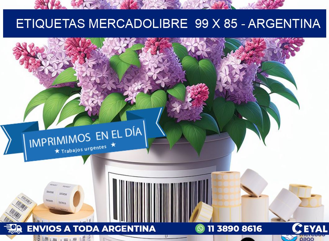 ETIQUETAS MERCADOLIBRE  99 x 85 - ARGENTINA