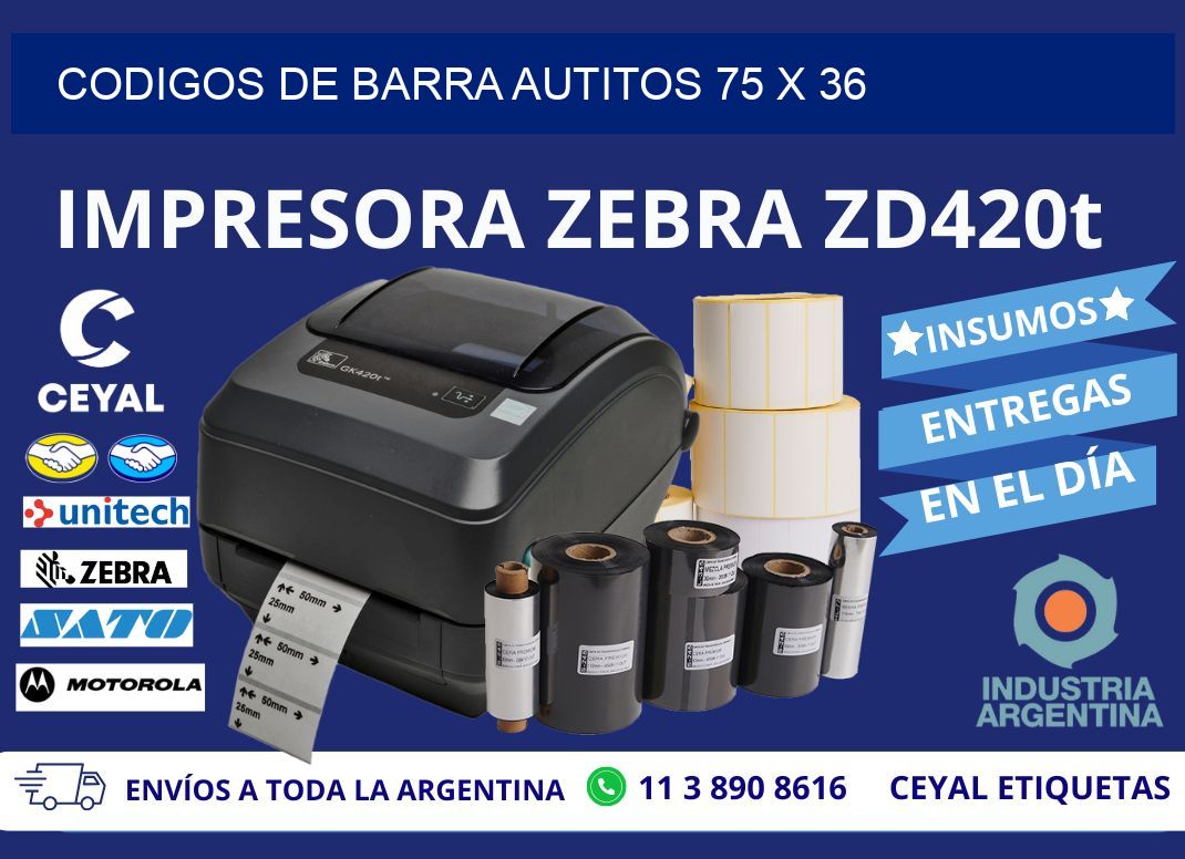 CODIGOS DE BARRA AUTITOS 75 x 36