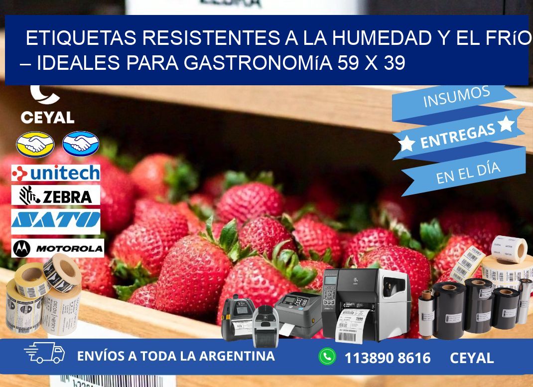 Etiquetas resistentes a la humedad y el frío – Ideales para gastronomía 59 x 39