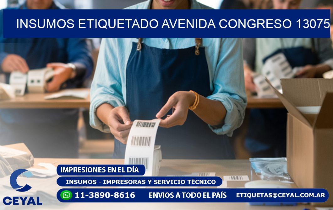 INSUMOS ETIQUETADO Avenida Congreso 13075